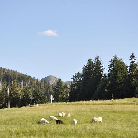 Apartamenty Jszi Zakopane Exteriör bild