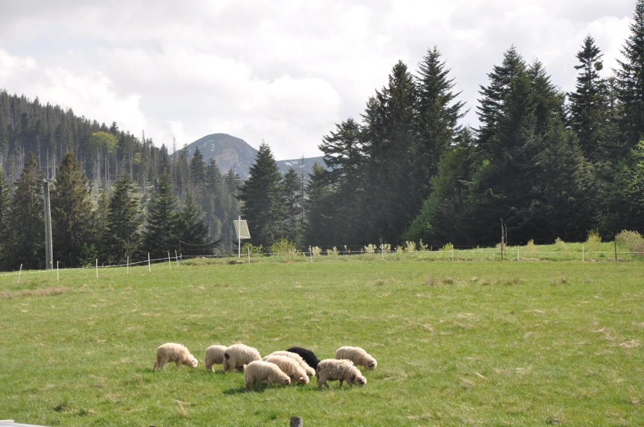 Apartamenty Jszi Zakopane Exteriör bild