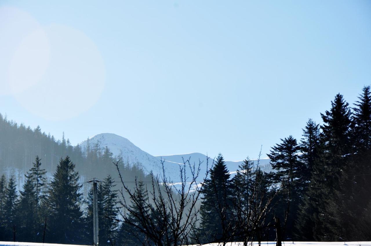 Apartamenty Jszi Zakopane Exteriör bild