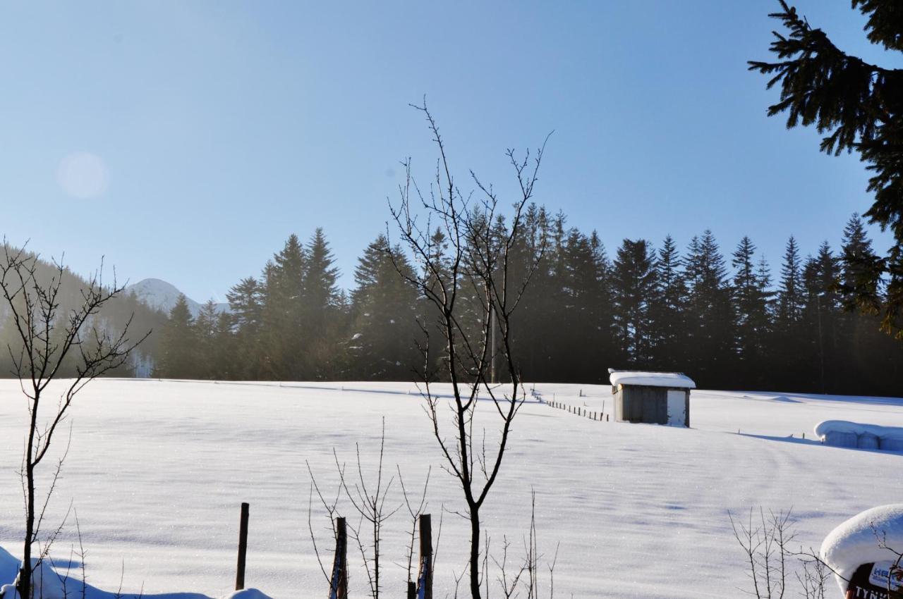 Apartamenty Jszi Zakopane Exteriör bild